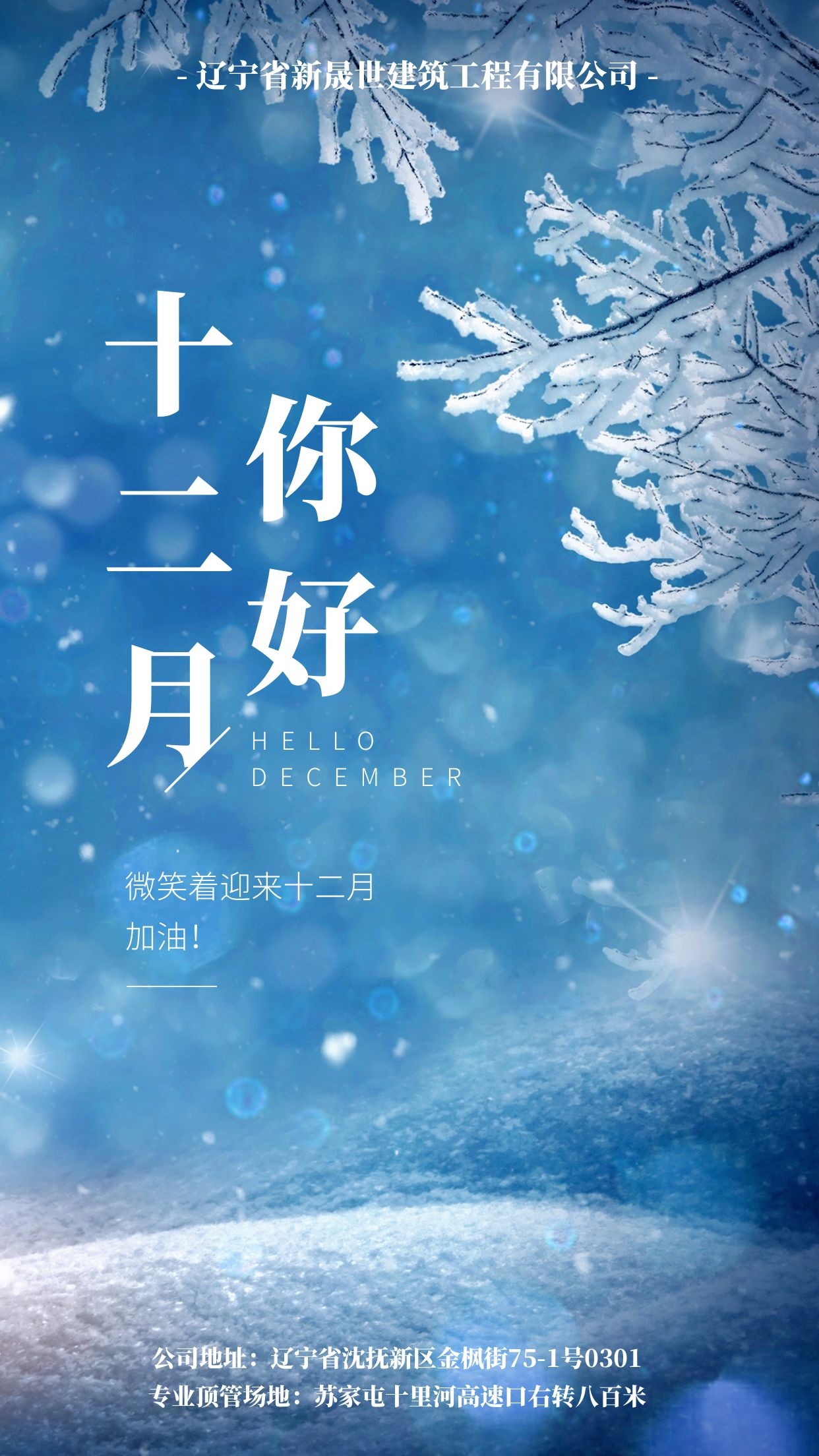 1606879745583909.jpg 1606879745583909.jpg